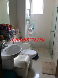 Edelweiss Park Condominium (D17), Condominium #158621412